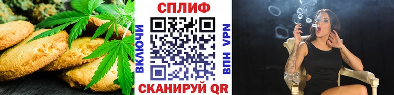 как найти наркотики Заводоуковск Cannafood конопля