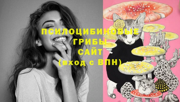 мяу мяу кристалл Нягань