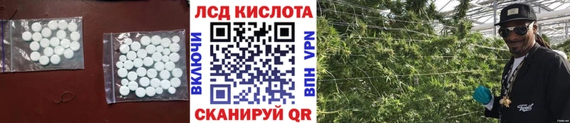 Лсд 25 экстази ecstasy  Заводоуковск 